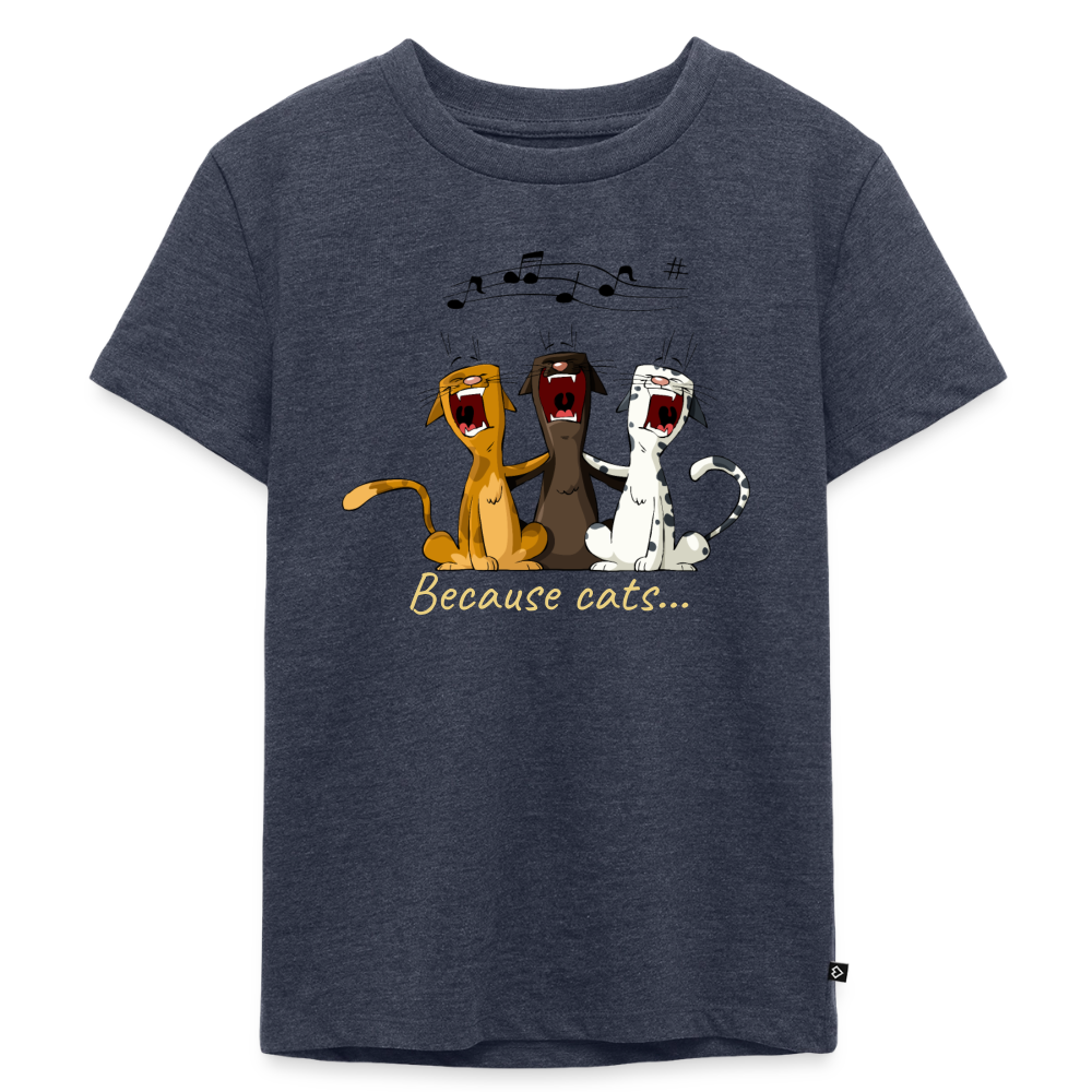 Premium Kids Because cats t-shirt - heather denim