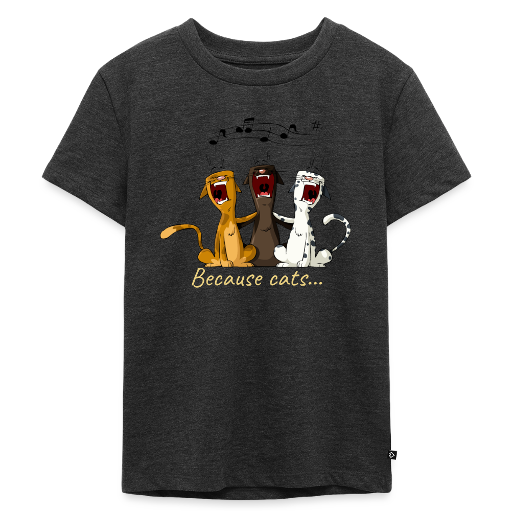 Premium Kids Because cats t-shirt - heather anthracite