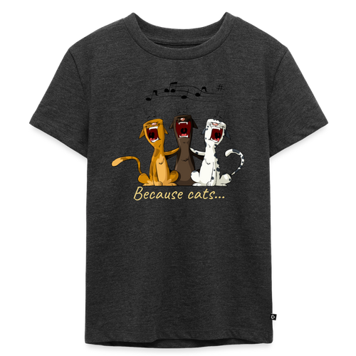 Premium Kids Because cats t-shirt - heather anthracite
