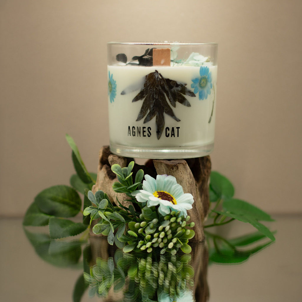 70h Agnes + Cat Botanical Soy Wax Candle - Seasalt & Moss