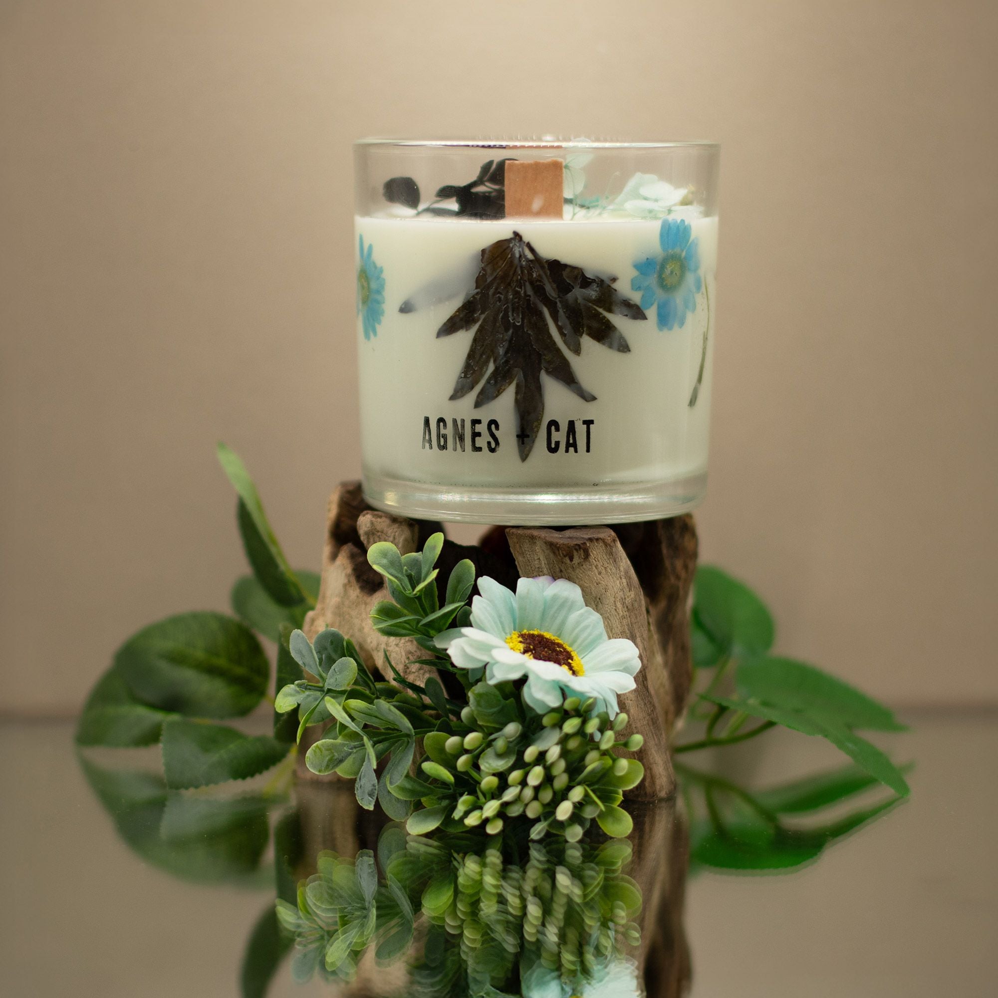 70h Agnes + Cat Botanical Soy Wax Candle - Seasalt & Moss