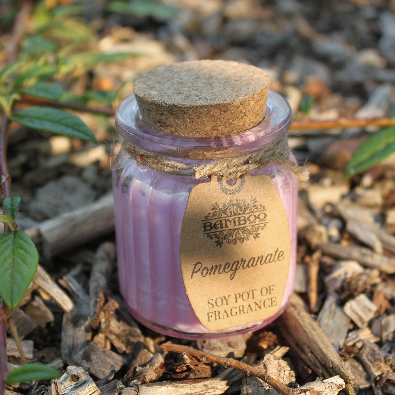 Pomegranate Soy Pot of Fragrance Candle